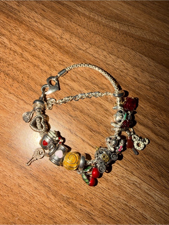 Pandora Jewelry - PANDORA- Charm Bracelet (assortment of charms)